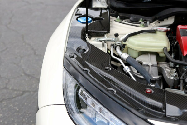 APR Performance Carbon Fiber Cooling Plate (Left+Right) - Honda Civic Type-R FK8 - Kaiju Motorsports