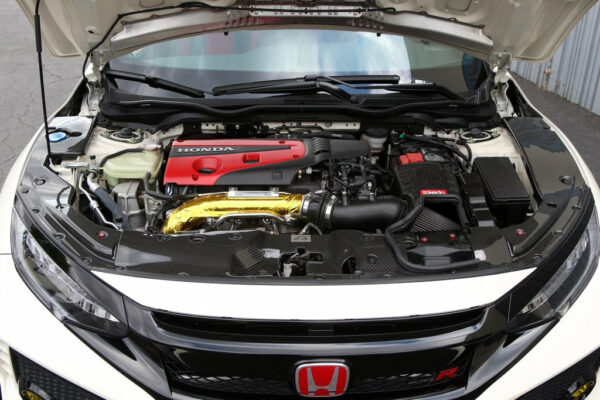 APR Performance Carbon Fiber Cooling Plate (Center) - Honda Civic Type-R FK8 - Kaiju Motorsports