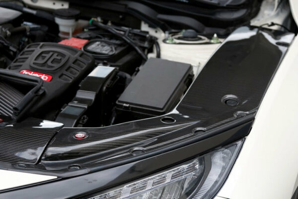 APR Performance Carbon Fiber Cooling Plate (Left+Right) - Honda Civic Type-R FK8 - Kaiju Motorsports